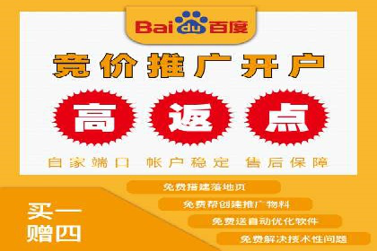 揭秘百度竞价代理：实战案例分析
