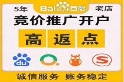 百度SEO优化公司案例详解：如何制定有效的推广计划